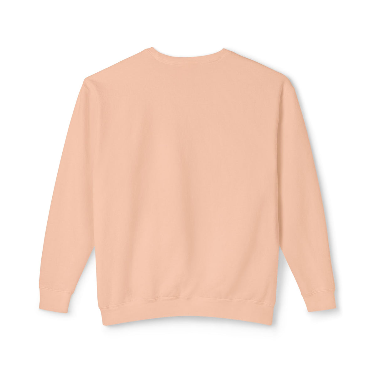 Pumpkin Spice & Salty Vibes Sweatshirt — Fall Beach Dog Crewneck