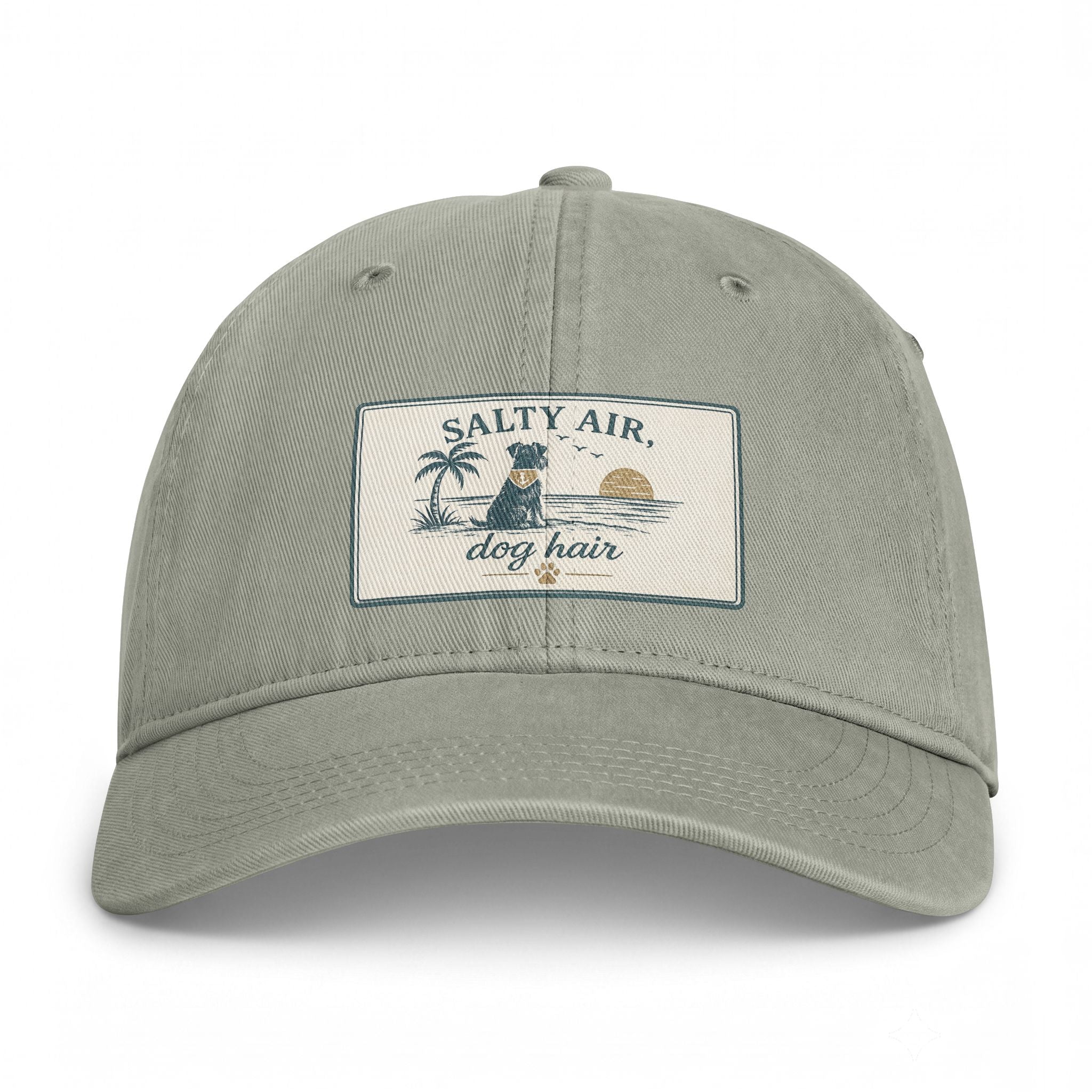 Salty Air Dog Hair Coastal Washed Cap