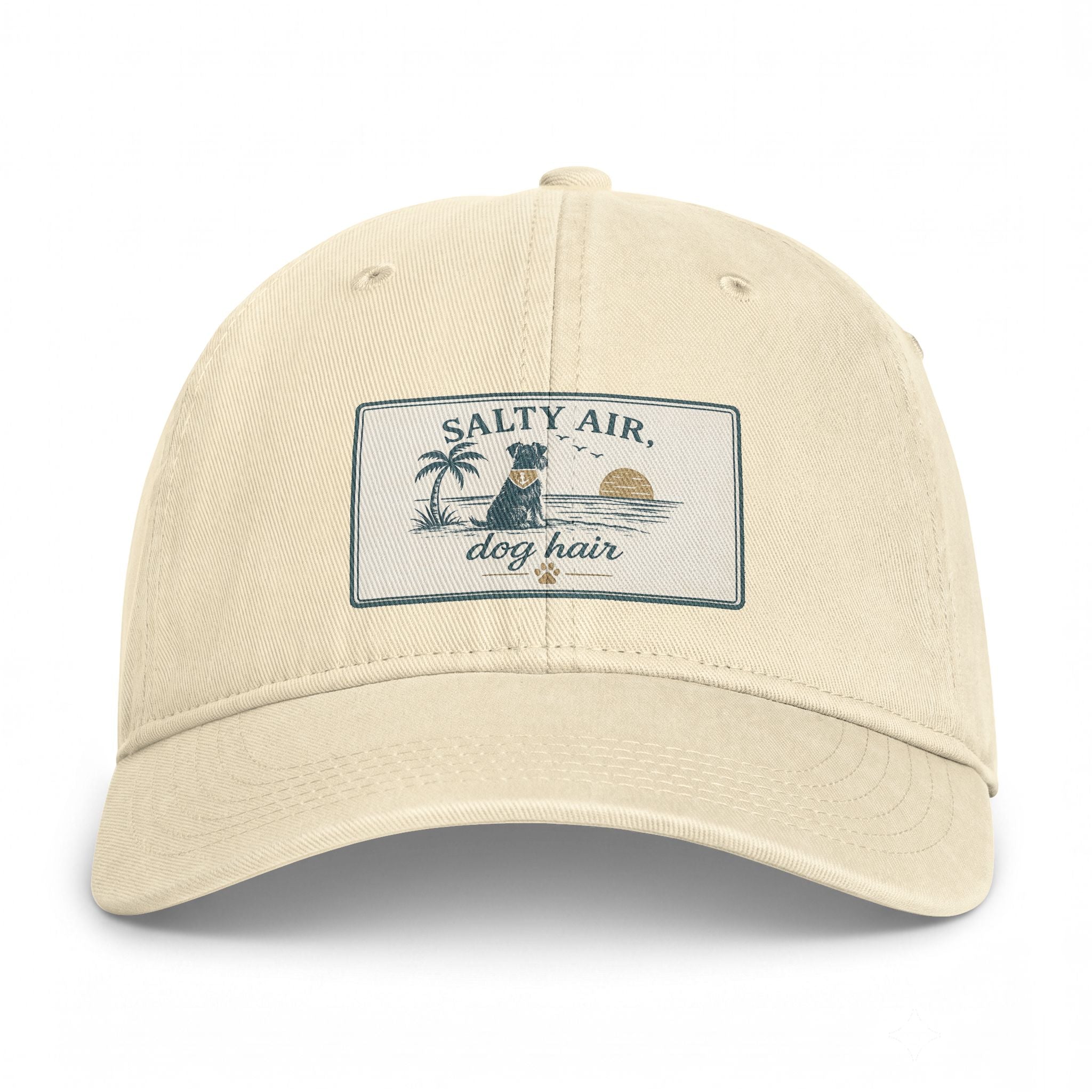 Salty Air Dog Hair Coastal Washed Cap