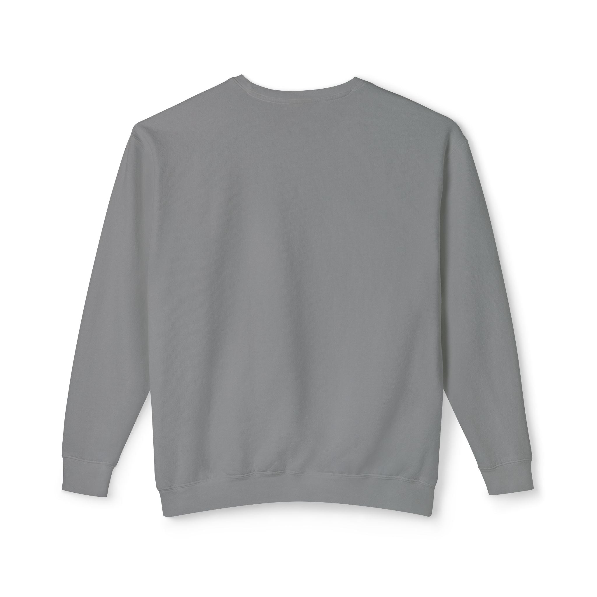 Pumpkin Spice & Salty Vibes Sweatshirt — Fall Beach Dog Crewneck