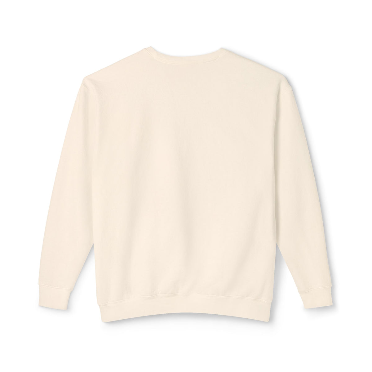 Pumpkin Spice & Salty Vibes Sweatshirt — Fall Beach Dog Crewneck
