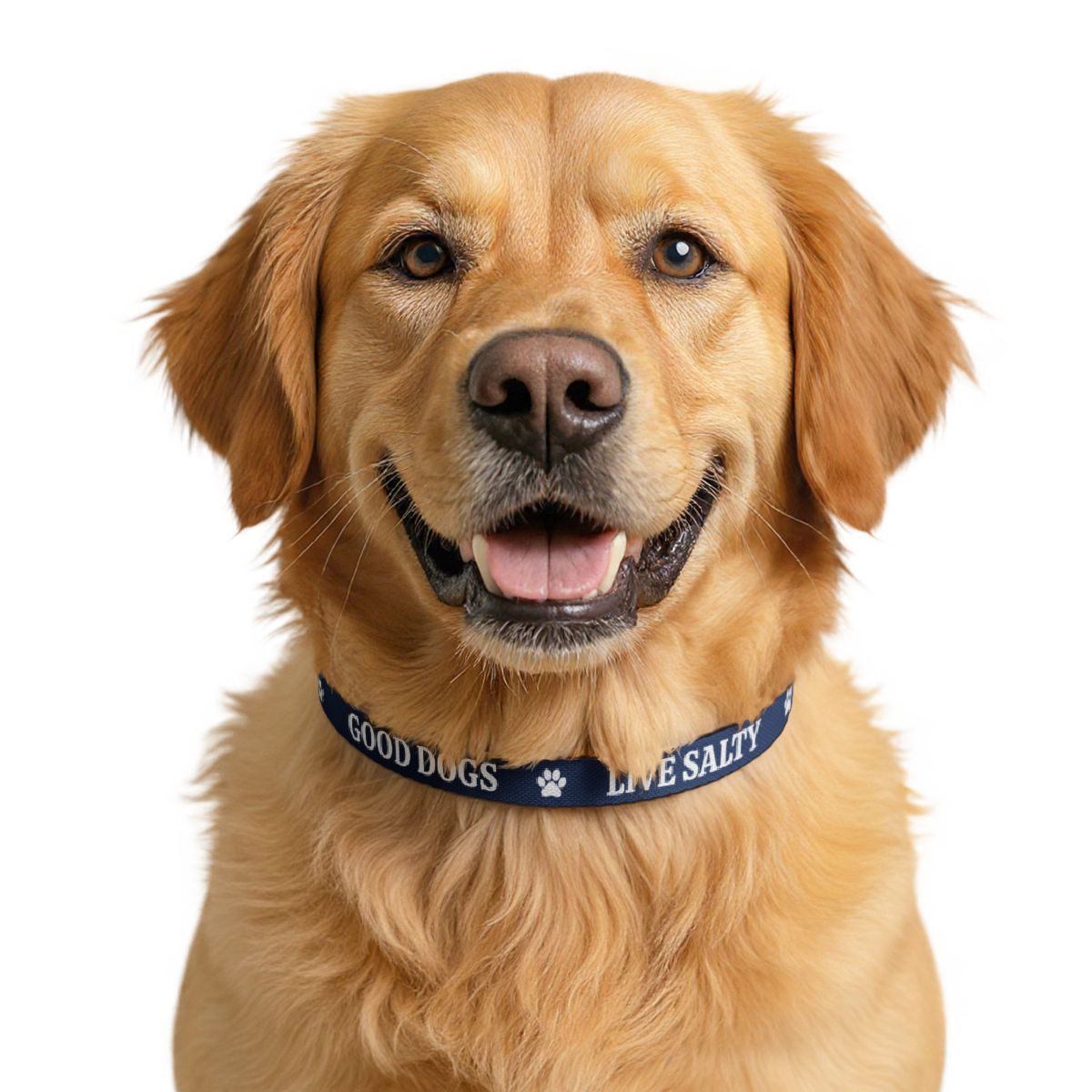 Pet Collar – 'Live Salty • Good Dogs' Clip-On Nautical Dog Collar