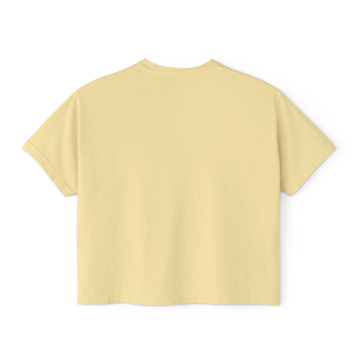 Salty Air, Dog Hair Boxy Tee — Women’s Beach Dog T-Shirt