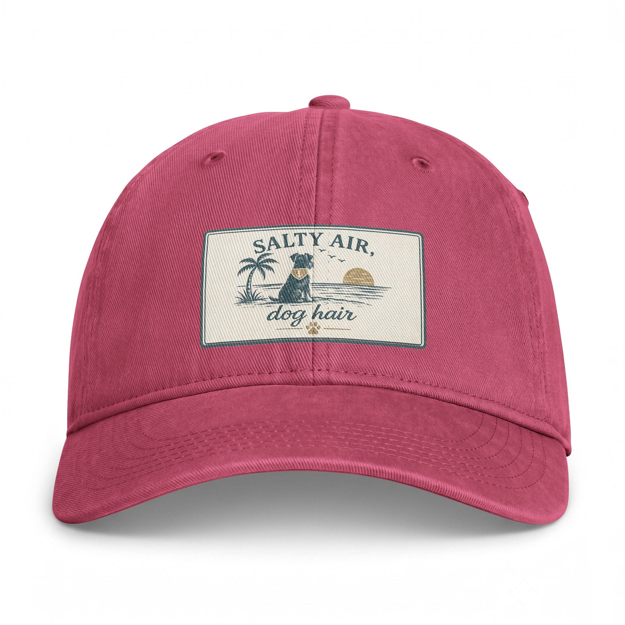 Salty Air Dog Hair Coastal Washed Cap