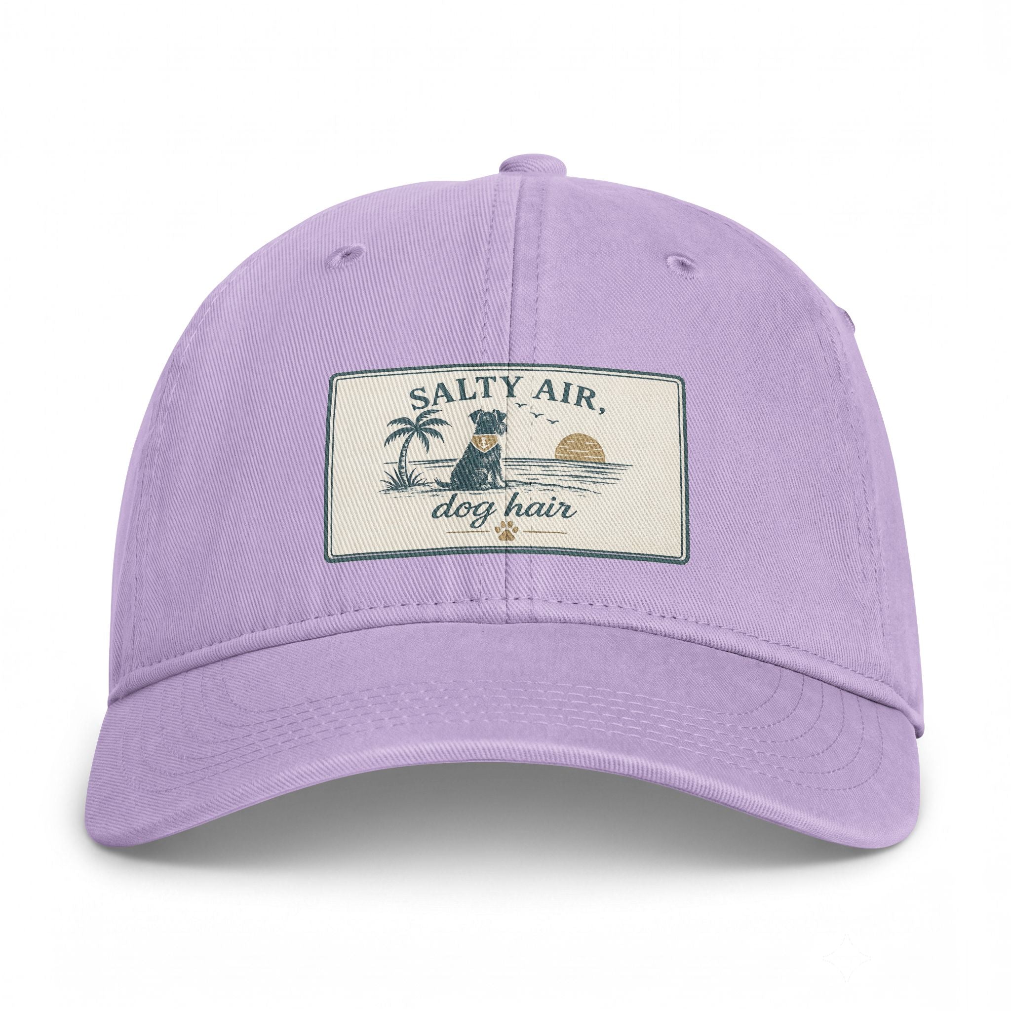 Salty Air Dog Hair Coastal Washed Cap