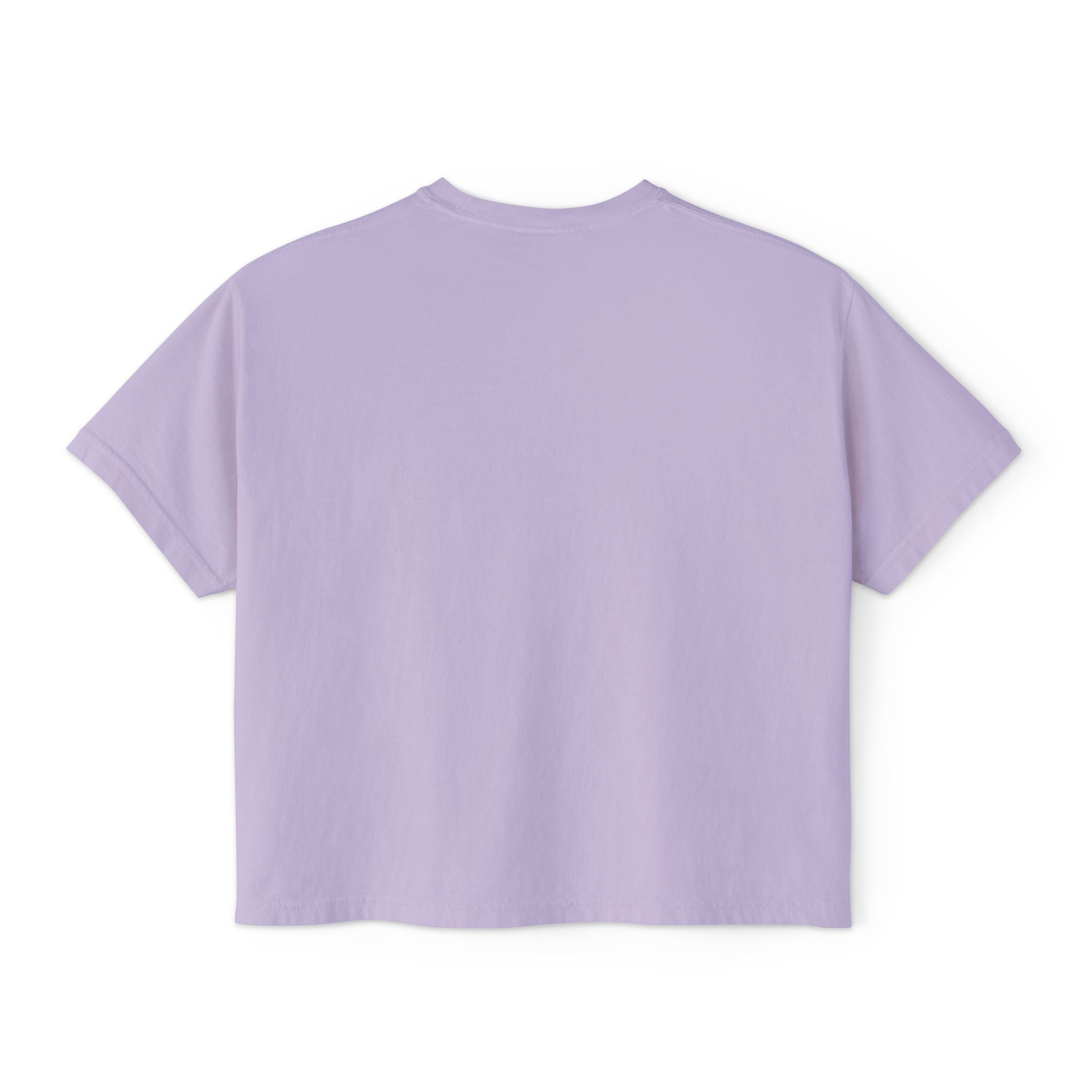 Salty Air, Dog Hair Boxy Tee — Women’s Beach Dog T-Shirt