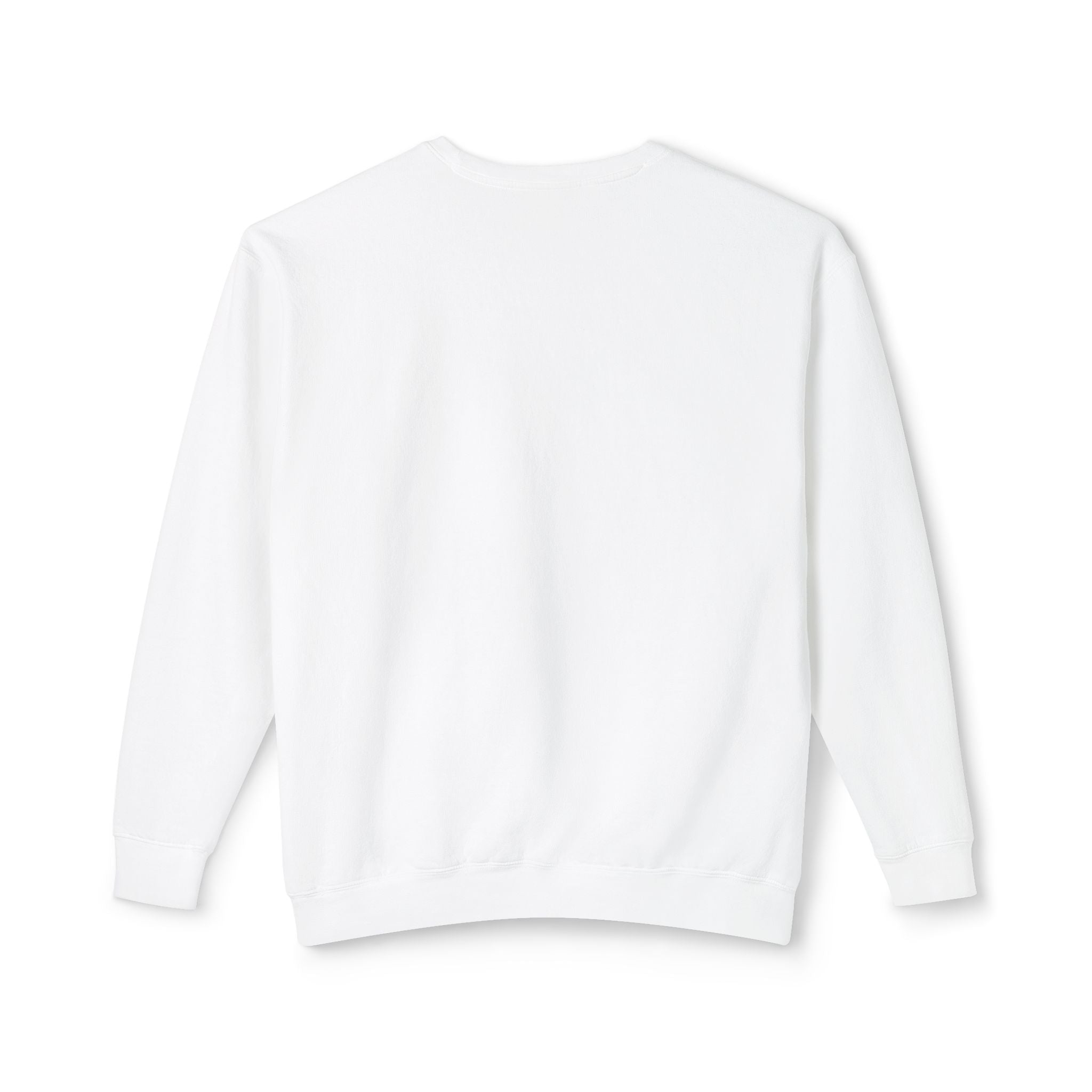 Pumpkin Spice & Salty Vibes Sweatshirt — Fall Beach Dog Crewneck