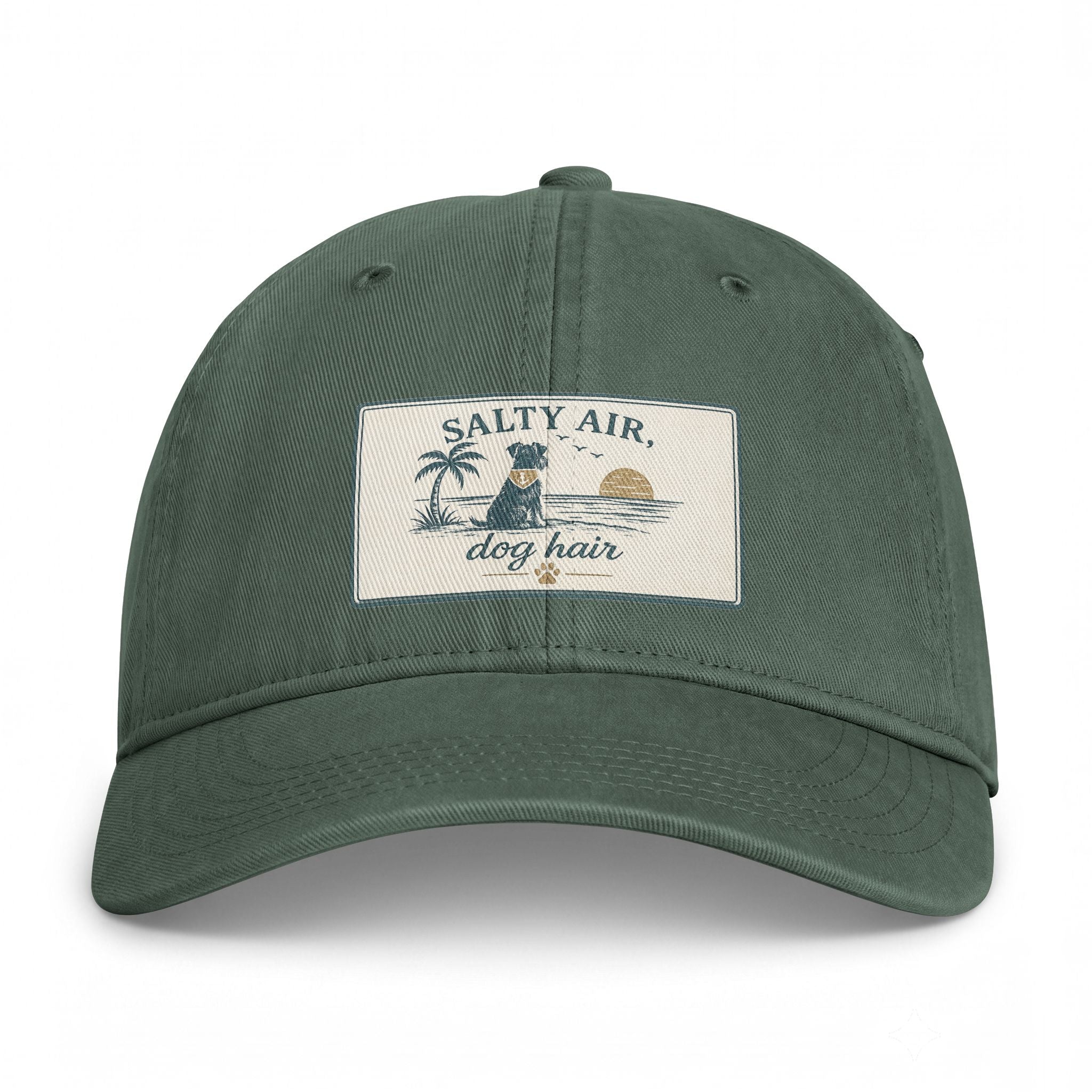 Salty Air Dog Hair Coastal Washed Cap