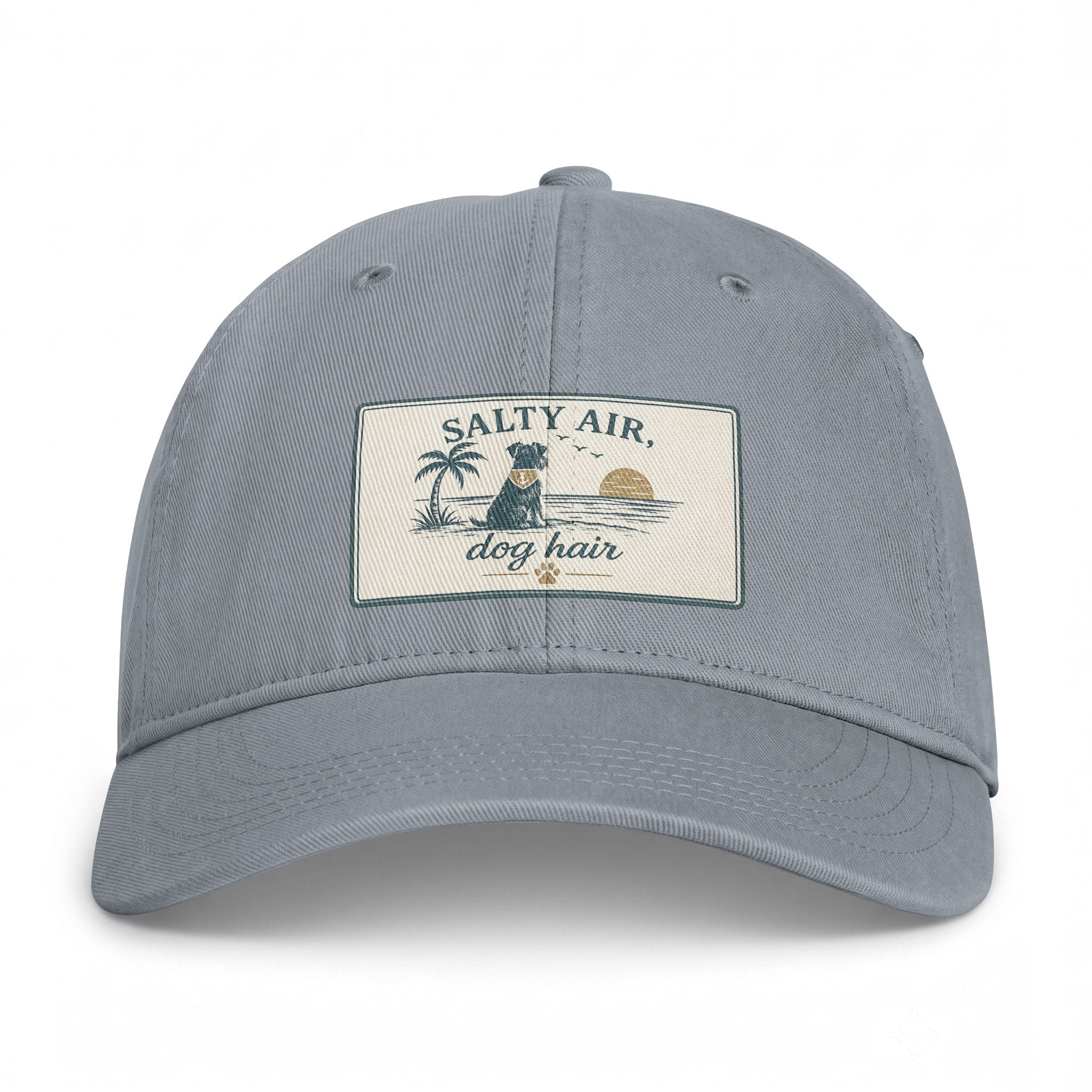 Salty Air Dog Hair Coastal Washed Cap