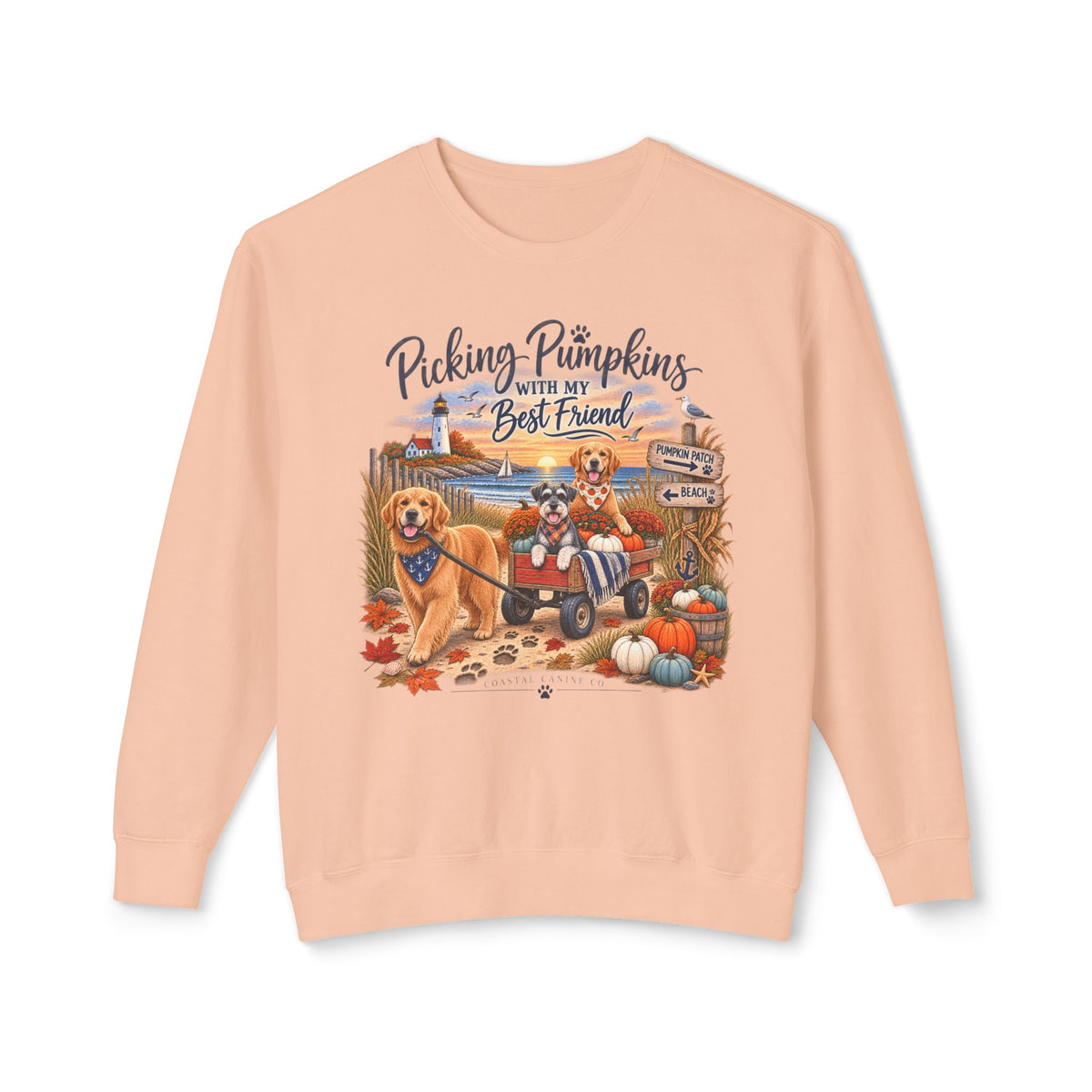 Pumpkin Patch with My Best Friend Sweatshirt