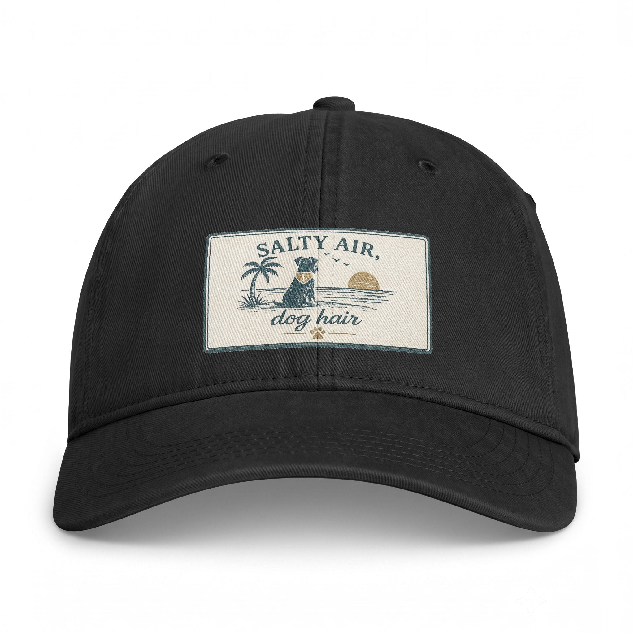 Salty Air Dog Hair Coastal Washed Cap
