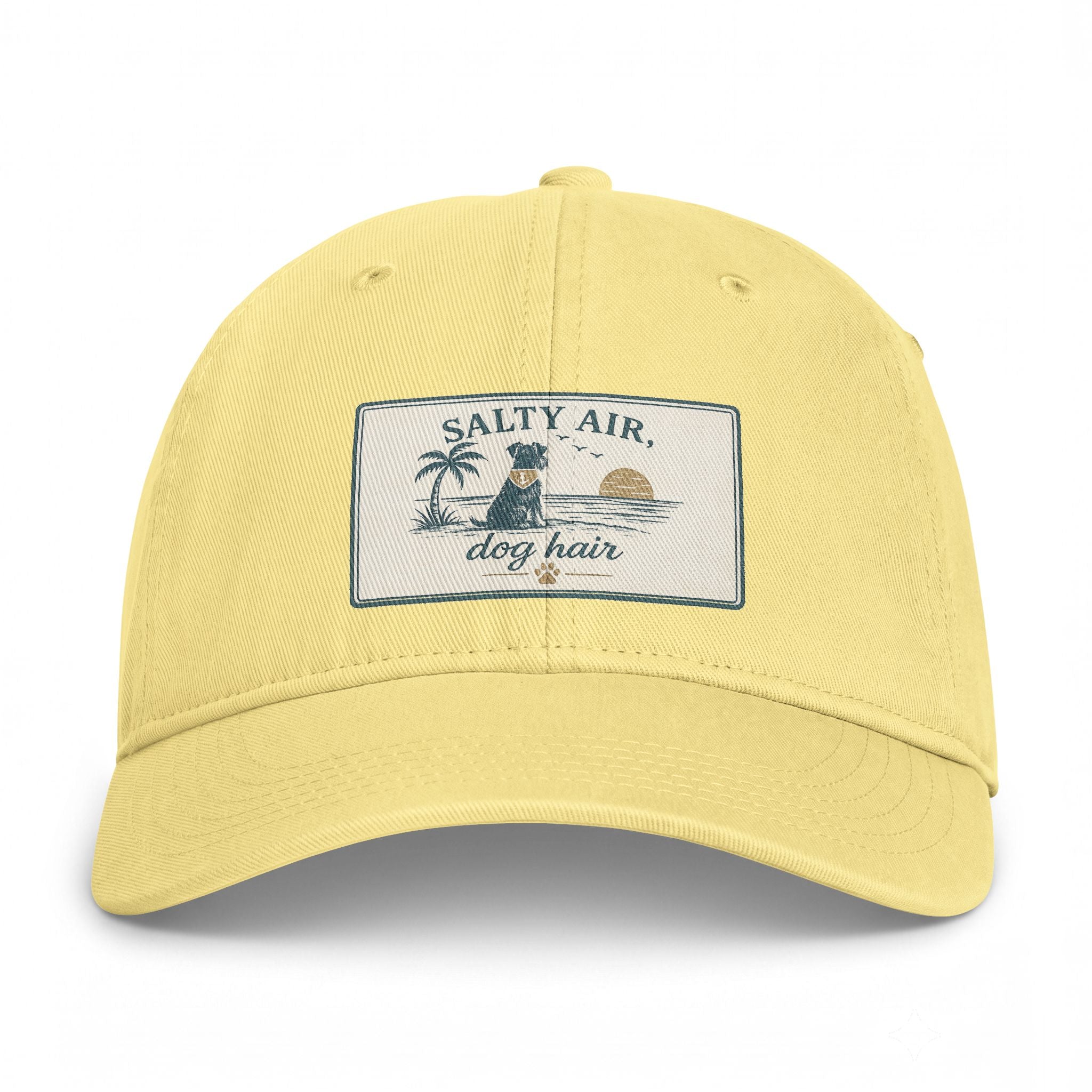 Salty Air Dog Hair Coastal Washed Cap