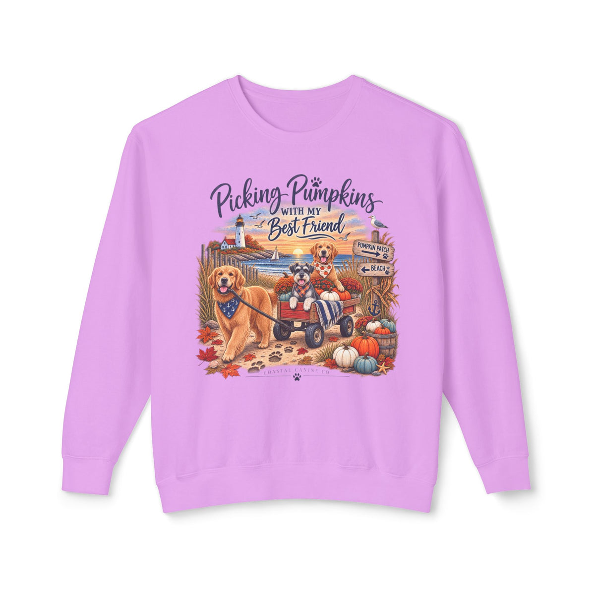 Pumpkin Patch with My Best Friend Sweatshirt